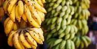 Hill Banana