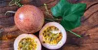 Passion Fruits