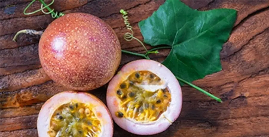 Passion Fruits