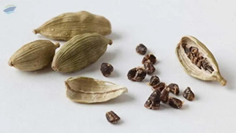 Cardamom