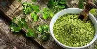 Moringa Products