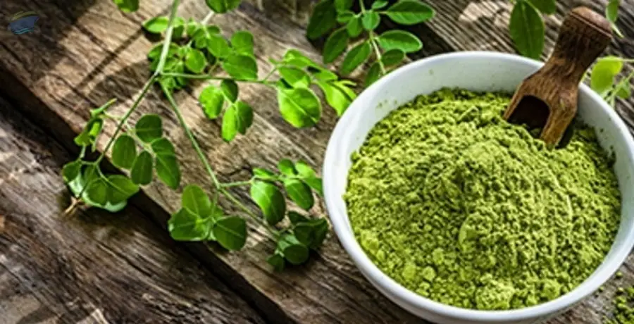 Moringa Products