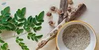 Moringa Seed Powder