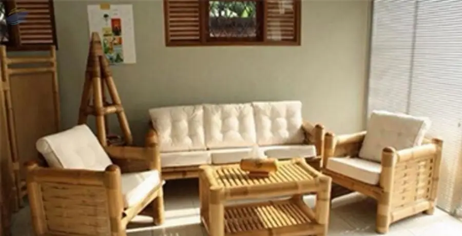 Bamboo chair, sofa, blinds