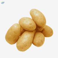 Potato