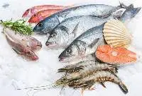 Frozen Fish