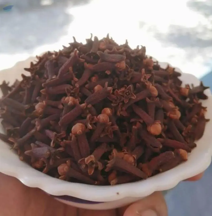 Clove (Lawang)