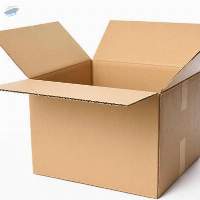 Carton Boxes