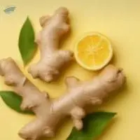 Ginger