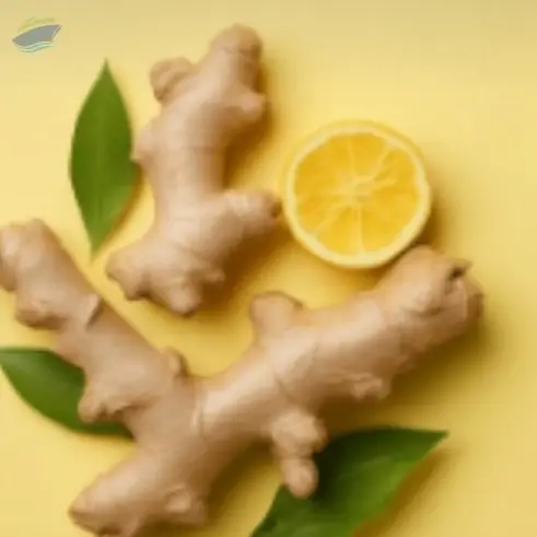 Ginger
