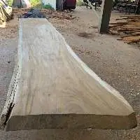 Raintree Live Edge Slab Solid One Piece