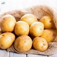 Potato