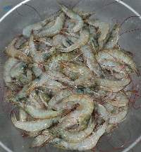 Vannamei Shrimp , Whiteleg Shrimp , Prawn