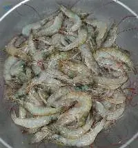Vannamei Shrimp , Whiteleg Shrimp , Prawn