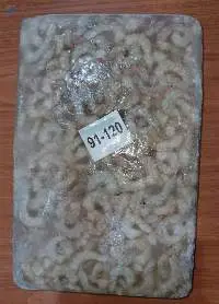 Block Frozen Vannamei Shrimp