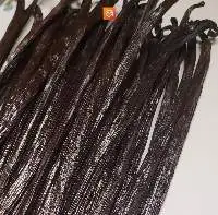 Planifolia Vanilla Bean Grade B