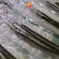 Tahitian Vanilla Beans Grade A