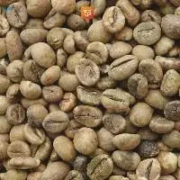 Robusta Coffee Bean WP Grade 1 L