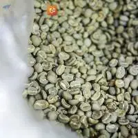 Robusta Coffee Beans WP Grade 1 M