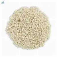 Sesame Seeds