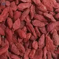 Chinese Wolfberry