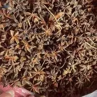 Aniseed