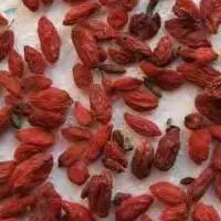 Economical Goji Berries