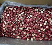 Freeze Dried Hawthorn