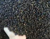 Black Pepper