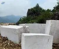 White/Black Marble
