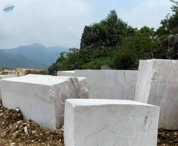 White/Black Marble