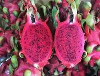 Dragon Fruits