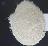 Dehydrated White Onion Powder
