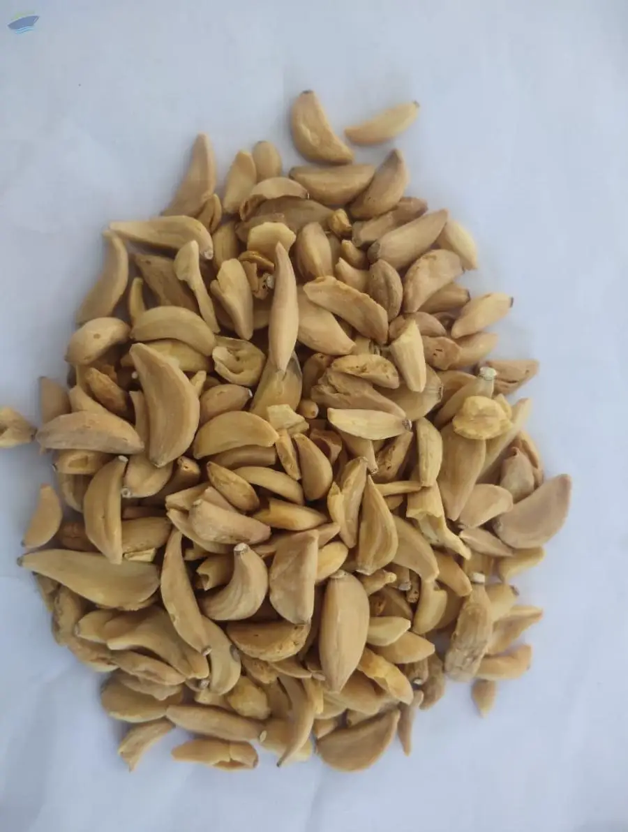 Dehydrated Garlic flakes