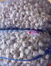 Fresh Garlic