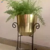 Planters