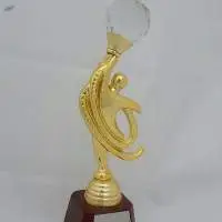 Trophies