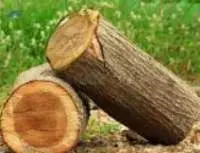 Wood Logs
