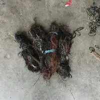 Buffalo Hair