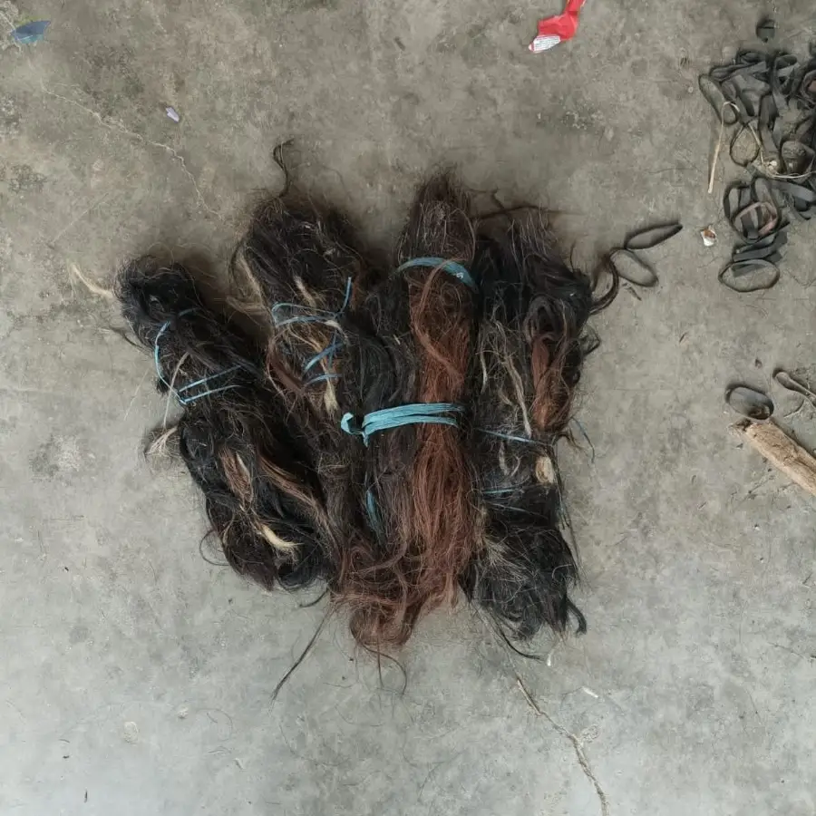 Buffalo Hair