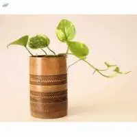 Bamboo Flower Pots