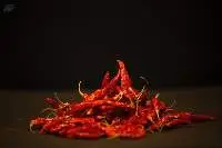 Red Chilli