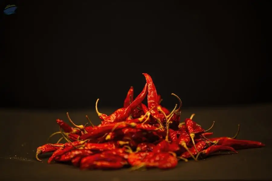 Red Chilli