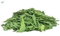 Neem Leaf