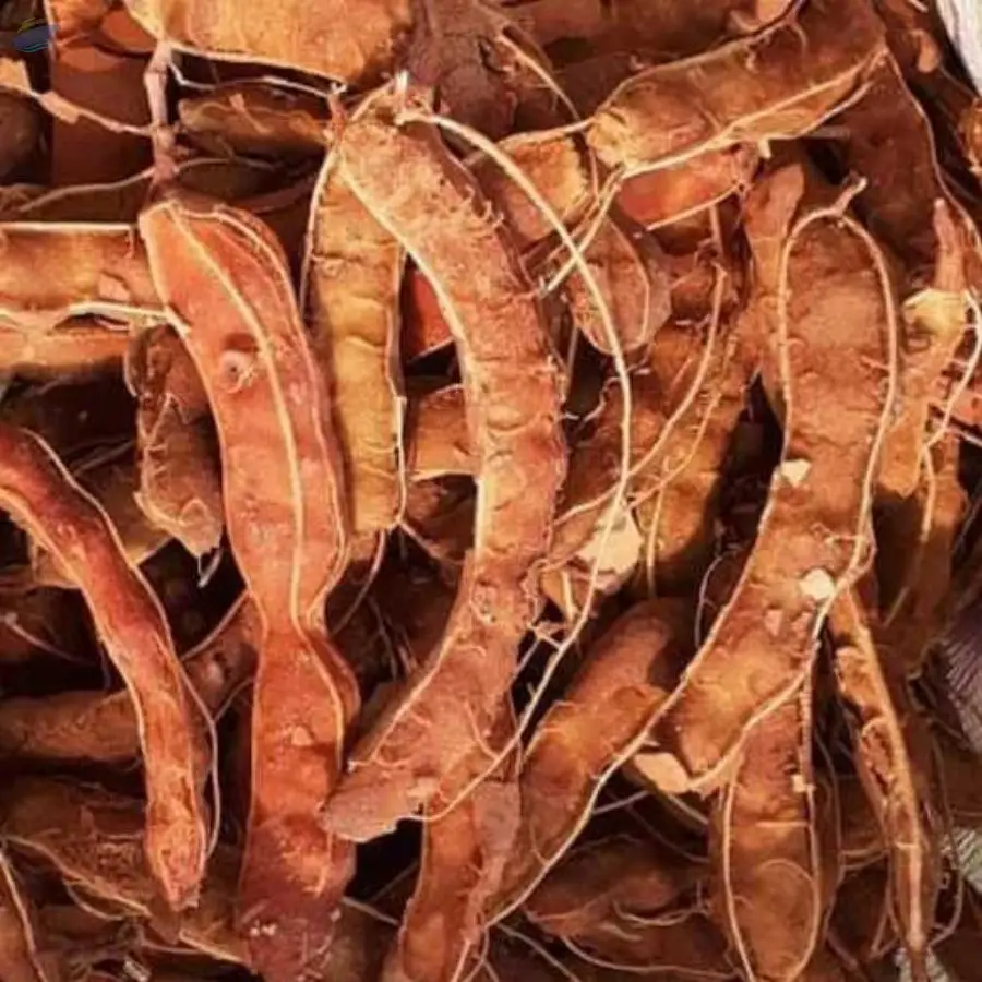 Tamarind With Seeds