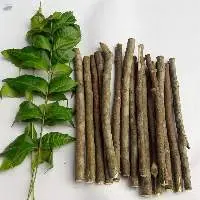 Neem Stick