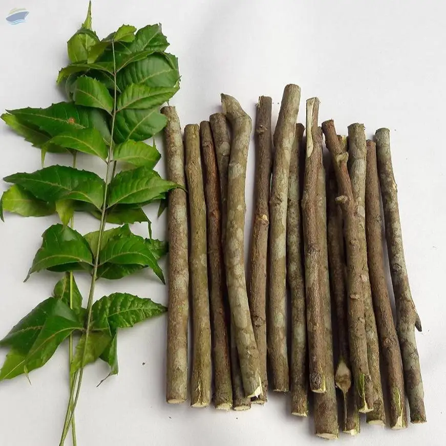 Neem Stick