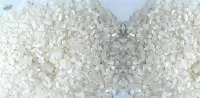 100% Broken Raw Rice