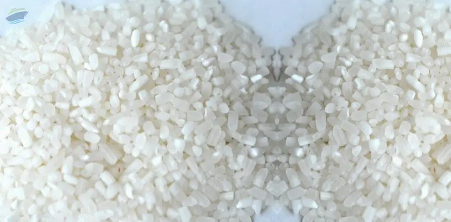 100% Broken Raw Rice