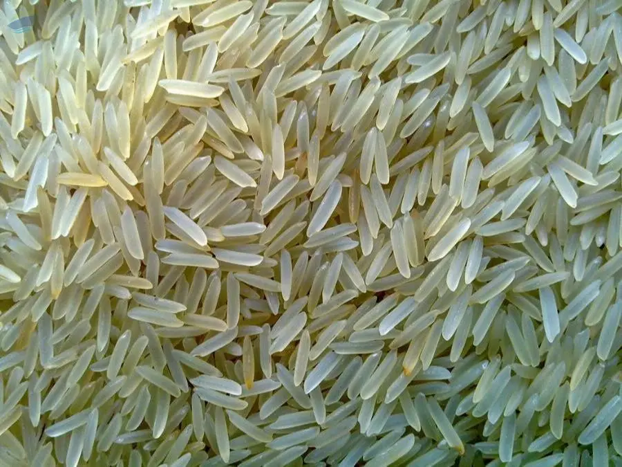 1121 Basmati Rice
